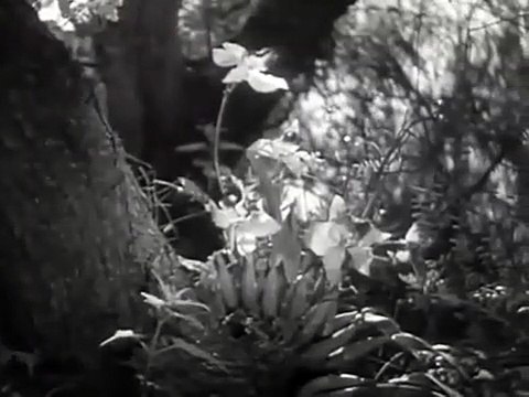 El Bombero Atomico Pelicula completa. Peliculas de cantinflas completas - PARTE 1