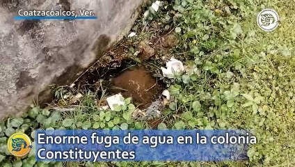 Enorme fuga de agua en la colonia Constituyentes