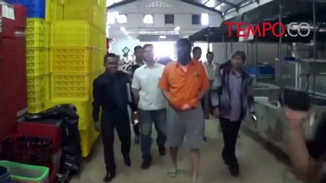 Ekspor Lobster Ilegal, Penangkaran Ini Digerebek Polisi