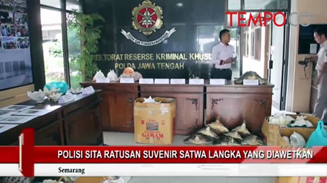 Polisi Sita Ratusan Suvenir Satwa Langka yang Diawetkan