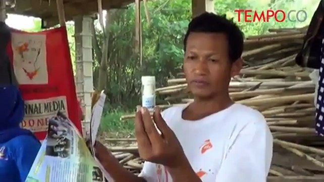 Dinas Peternakan Temukan Hewan Kurban Sakit Dijual