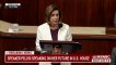House Speaker Nancy Pelosi Announces She Will Not Seek Re-Election To Democratic