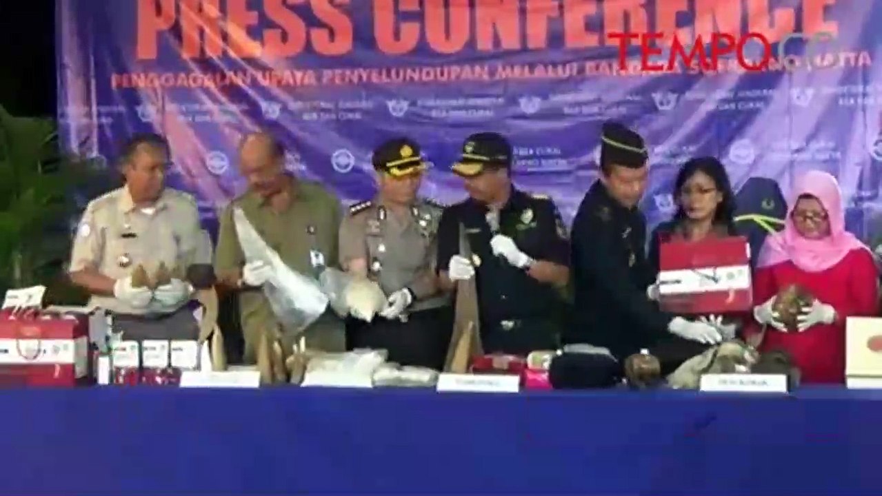 Digagalkan, Penyelundupan Tengkorak Manusia dan Gading