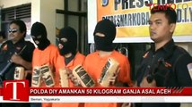 Polda DIY Amankan 50 Kg Ganja Kering Asal Aceh