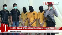 1,6 Ton Ganja Kering Dimusnahkan di Pabrik Baja