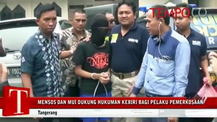 Mensos dan MUI Dukung Hukuman Kebiri bagi Pelaku Pemerkosaan