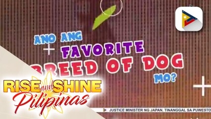 RSP WEEKLY TOP PICKS | Ano ang favorite breed of dog mo?