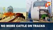 Railways plan 1000 km fence to prevent cattle deaths