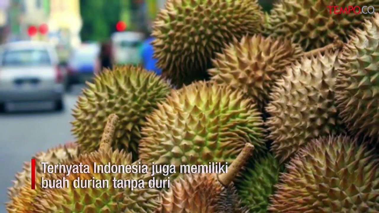 Viral, Durian Tanpa Duri Bikin Netizen Penasaran