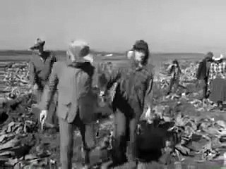 The Fugitive S03E24 Ill Wind (2)