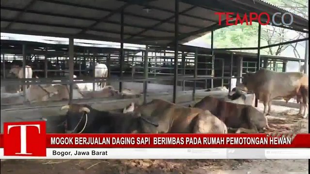Mogok Berjualan Daging Sapi Berimbas pada Rumah Pemotongan Hewan