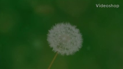 Driving from Jakarta to Lampung Pulau Pahawang Like I'm in the Maldives