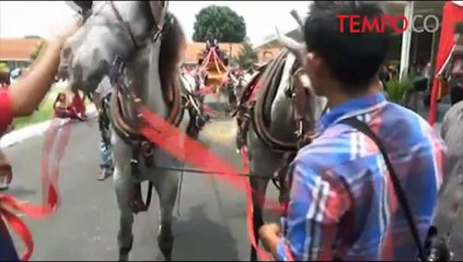 Enam Kereta Pusaka Akan Ikuti Kirab Jumenengan Paku Alam X