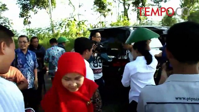 Menteri-Rini Soemarno: Pertalite Jangan Bebani Konsumen