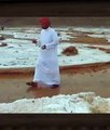 You Won't Believe This Desert Miracle!! Amazing footages from Saudi Arabia, Hail