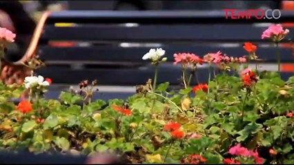 Tutupi-Gedung-Tiang-Bendera-Gedung-Merdeka-Dipindahkan.flv