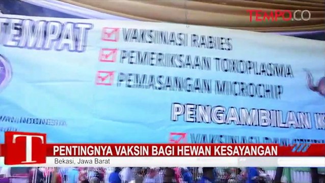 Pentingnya-Vaksin-Bagi-Hewan-Kesayangan.flv