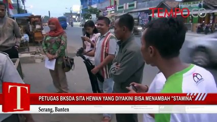 Petugas BKSDA Sita Hewan yang Diyakini Bisa Menambah "Stamina"