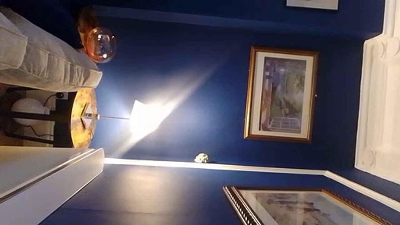 ceiling collapse 16 oct 22 d