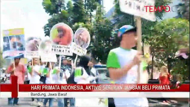 Hari-Primata-Indonesia-Aktivis-Serukan-Jangan-Beli-Primata.flv