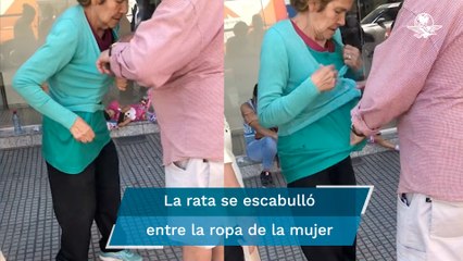 Rata se trepa al cuerpo de una mujer a plena luz del día