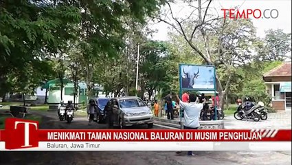 Tải video: Menikmati-Taman-Nasional-Baluran-di-Musim-Penghujan.flv