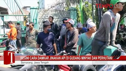 Begini Cara Damkar Jinakan Api di Gudang Minyak dan Perhutani