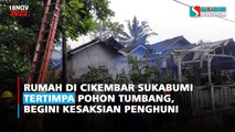 Rumah di Cikembar Sukabumi Tertimpa Pohon Tumbang, Begini Kesaksian Penghuni