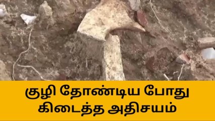 தூத்துக்குடி: சாலை பணிக்காக குழி தோண்டிய போது கிடைத்த அதிசயம்