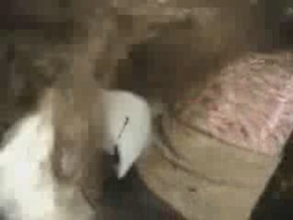 Crash course rally !! voiture dans la rivière