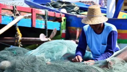 10 Ribu Kapal Asing Hilang, Menteri Susi: Pendapatan Kita Naik