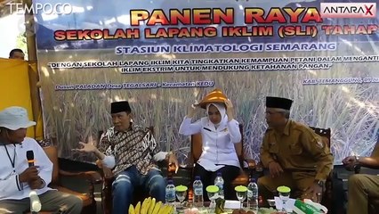 Angin Timuran Picu Munculnya Fenomena Embun Es