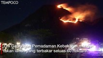 60 Hektare Lahan Terbakar di Gunung Panderman, Pendakian Ditutup