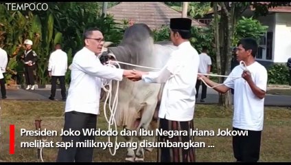 Penyerahan Sapi Kurban Presiden Jokowi