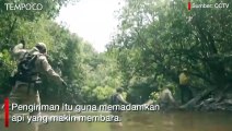 40 Ribu Tentara Diterjunkan untuk Padamkan Api di Hutan Amazon