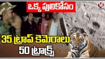 Forest Officials Action Plan To Catch BigTiger In Asifabad _ V6 News