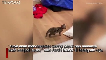 Justin Bieber dan Hailey Baldwin Sambut Anak Kucing Baru, Sushi