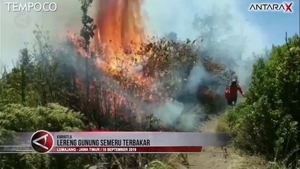 Lereng Gunung Semeru Terbakar, Petugas Gunakan Alat Seadanya Padamkan Api