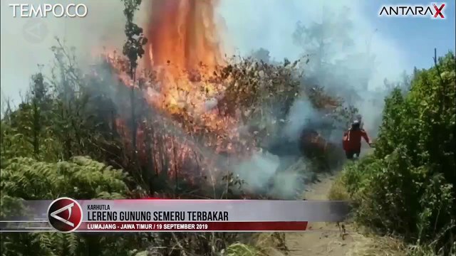Lereng Gunung Semeru Terbakar, Petugas Gunakan Alat Seadanya Padamkan Api
