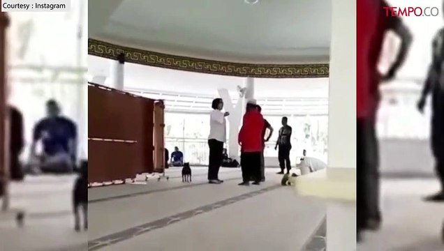 Kematian Anjing Masuk Masjid di Sentul Jadi Misteri