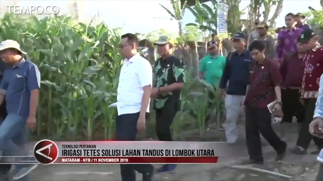 Teknologi Irigasi Tetes Atasi Masalah Lahan Tandus di Lombok