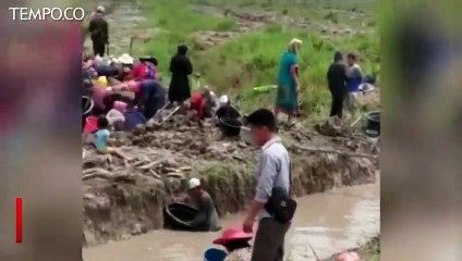 Perburuan Harta Karun Kerajaan Sriwijaya di Lokasi Karhutla