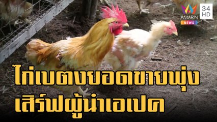 ไก่เบตงราคาพุ่ง เมนูเสิร์ฟผู้นำประชุมเอเปค | ข่าวเที่ยงอมรินทร์ | 18 พ.ย.65