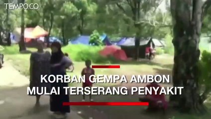 Korban Gempa Ambon Mulai Terserang Penyakit di Pengungsian