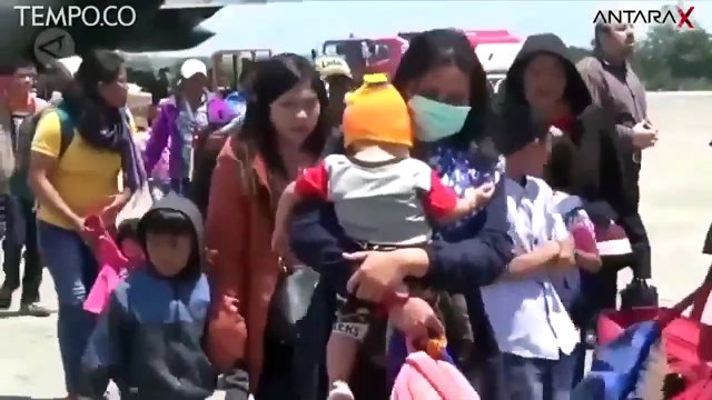 Pascakerusuhan di Wamena, Gelombang Pengungsi Tembus 8 Ribu Orang