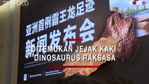 Ditemukan Jejak Kaki Dinosaurus Raksasa di Cina