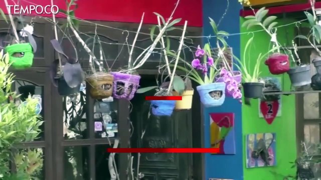 Menyulap Popok Bekas jadi Pot Tanaman