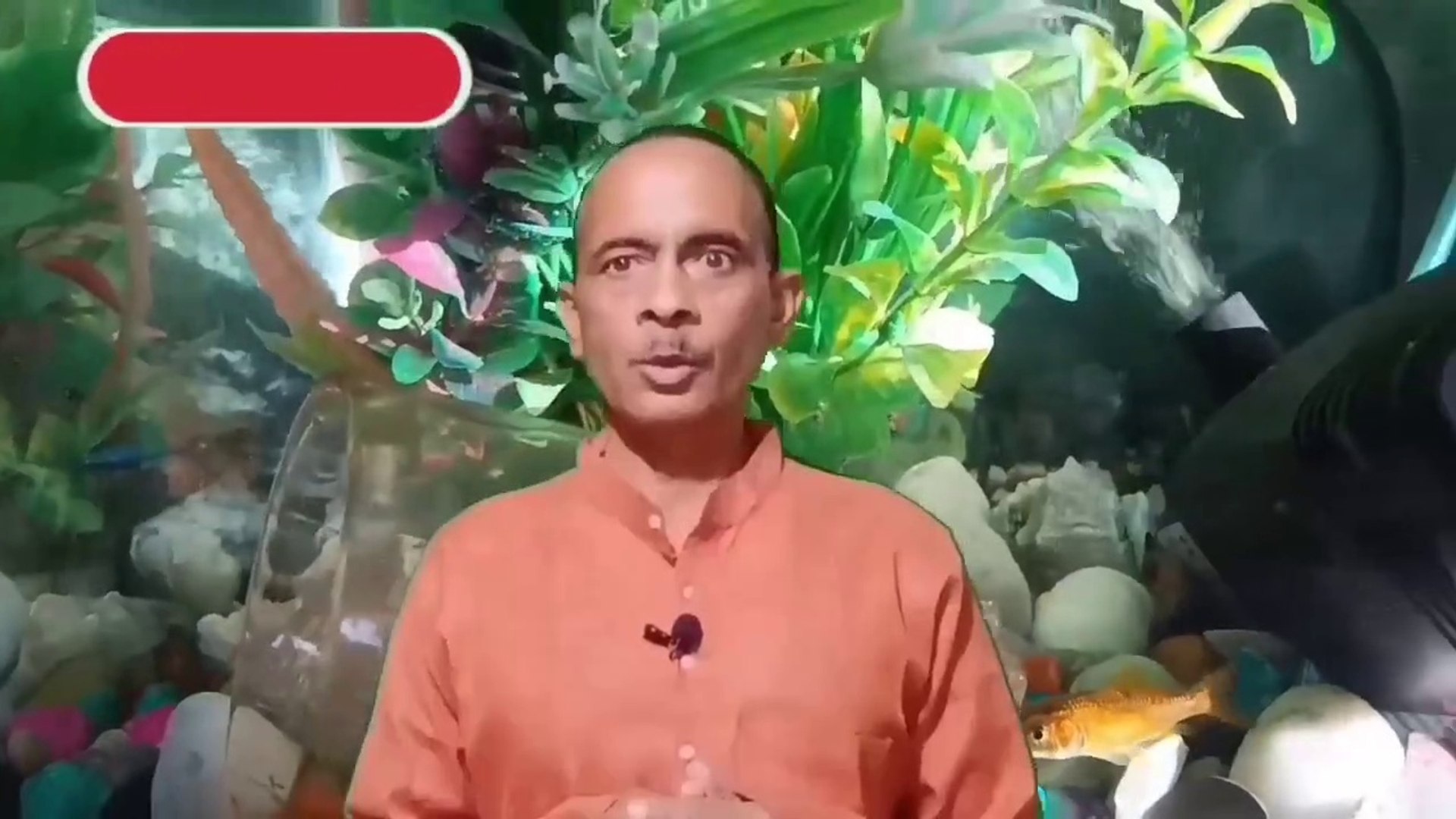 ⁣Fish aquarium