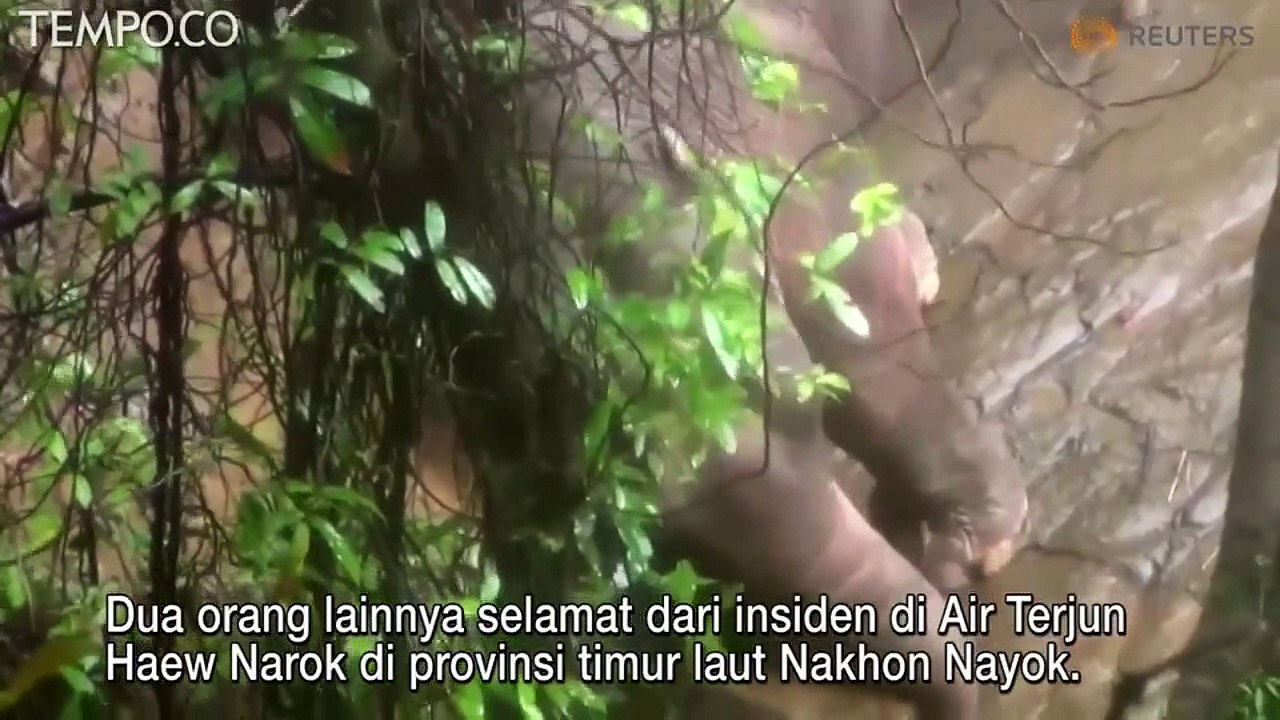 Enam Gajah Mati setelah Jatuh ke Air Terjun di Thailand