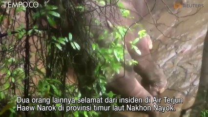 Enam Gajah Mati setelah Jatuh ke Air Terjun di Thailand